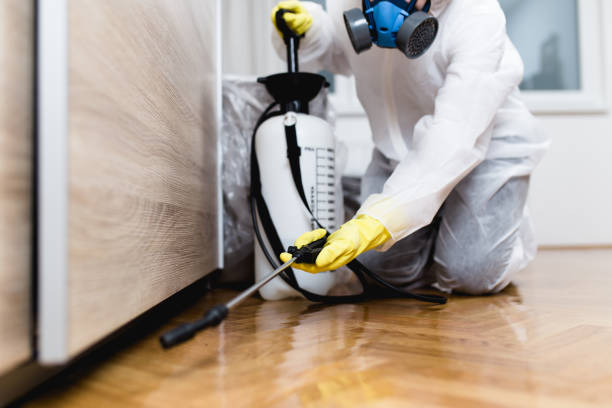 Best Pest Removal Services  in Kamas, UT