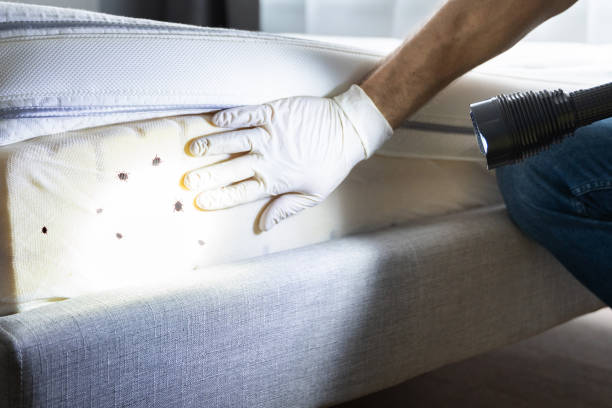 Best Best Pest Control Companies  in Kamas, UT