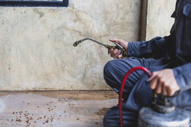 Best Cockroach Control Services  in Kamas, UT