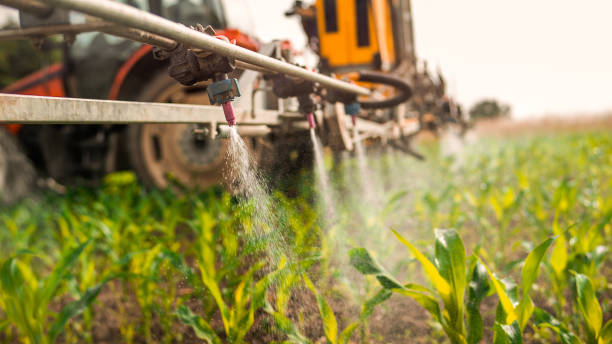 Reliable Kamas, UT Pest Control Solutions